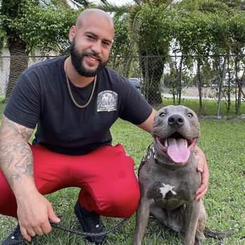 Paws Across Dade Dog Training - Pet Training Near Me Paws Across Dade Dog Training - Pet Training Near Me