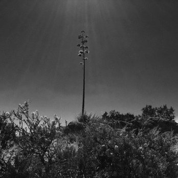 Apache Trail Scenic Byway - Plaiyng around with the camera and the sun - Local Flavor Near Me - Apache Junction, Arizona