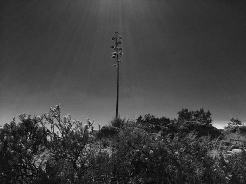 Apache Trail by null