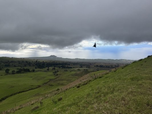 Blue Hawaiian Helicopters by null
