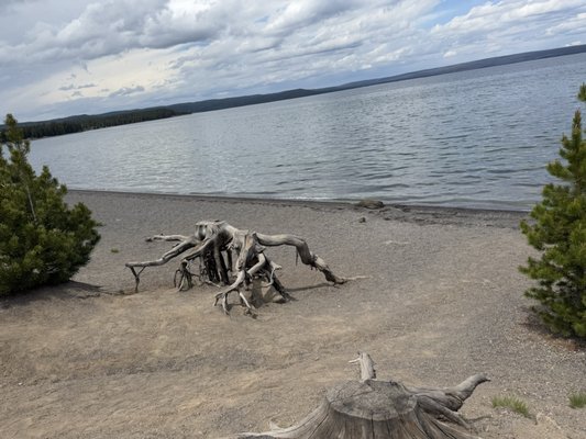 Grant Village by null