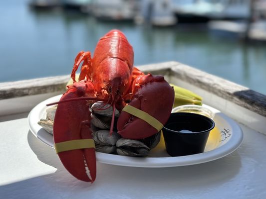 Harraseeket Lunch and Lobster Company by null