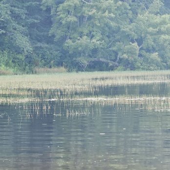Burlingame State Park Campground - Pond - Campgrounds Near Me - Charlestown, Rhode Island Burlingame State Park Campground - Pond - Campgrounds Near Me - Charlestown, Rhode Island