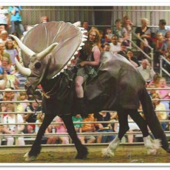 Phantom Dragon Ranch - "Triceratops" Shire horse costume - Pet Training Near Me Phantom Dragon Ranch - "Triceratops" Shire horse costume - Pet Training Near Me
