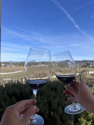 Palumbo Family Vineyard by null