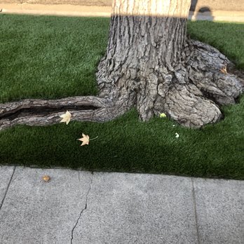 Cal-Green Turf - Artificial Turf Near Me Cal-Green Turf - Artificial Turf Near Me
