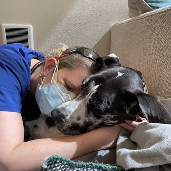 Sarah Daniel - The Kind Vets - Veterinarians Near Me