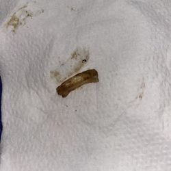 New Hong Kong - Hard plastic immediately after being removed