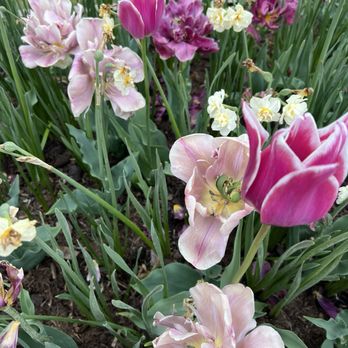 Jardin des Plantes - Botanical Gardens Near Me - Paris, 75