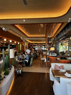 Koko by null Koko by null