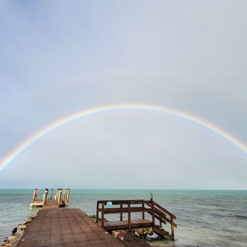 Lime Tree Bay Resort - Who needs a caption? - Resorts Near Me - Long Key, Florida