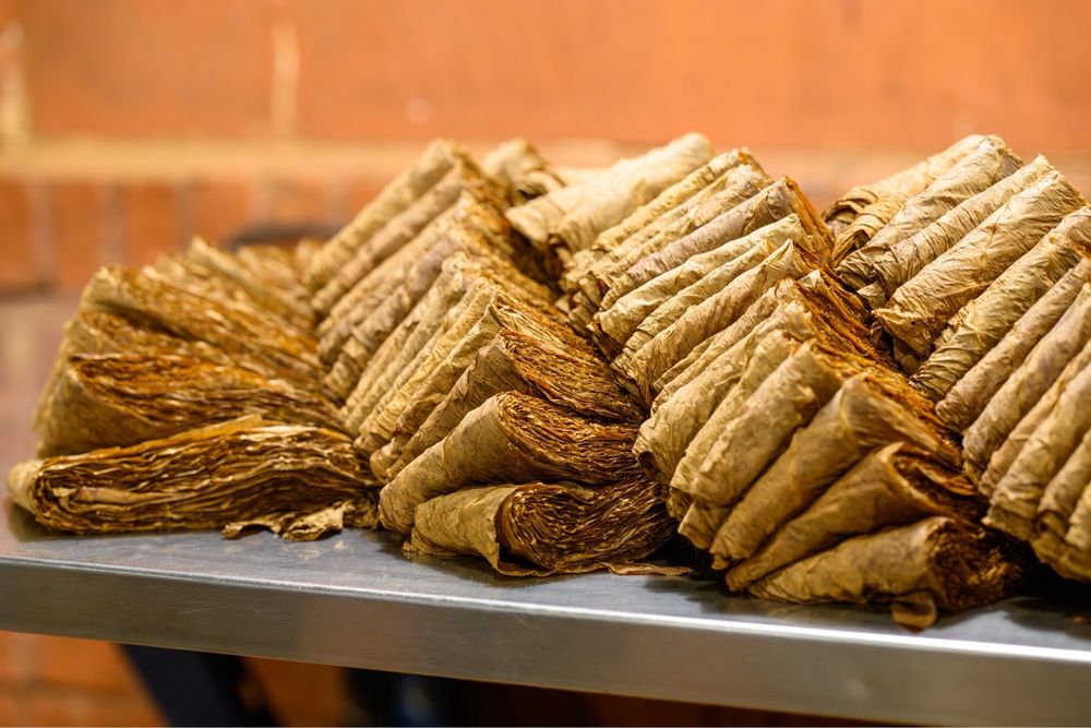 J.C. Newman Cigar Company