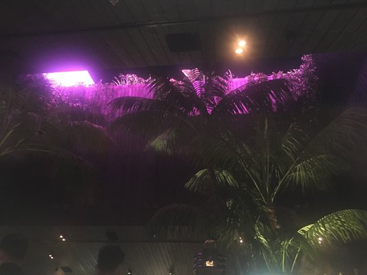 Chotto Matte Miami by null
