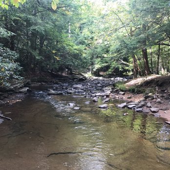 Swallow Falls State Park - Above the falls - Parks Near Me - Oakland, Maryland