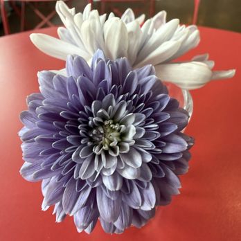 Izola - Bakeries Near Me - San Diego, California Izola - Bakeries Near Me - San Diego, California