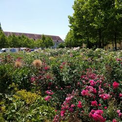 Klostergarten