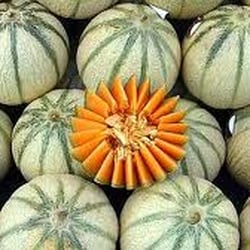 Primeurs, Légumes et Fruits