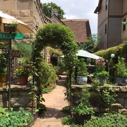 Beautiful garden