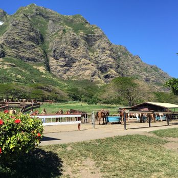 Kualoa Ranch - Tours Near Me - Kaneohe, Hawaii Kualoa Ranch - Tours Near Me - Kaneohe, Hawaii