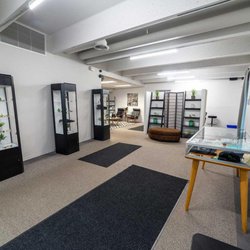 Lightshade Rec & Med Dispensary - Inside Lightshade Evans Dispensary, showcasing a spacious retail area with glass display cases, shelves with potted plants, a...