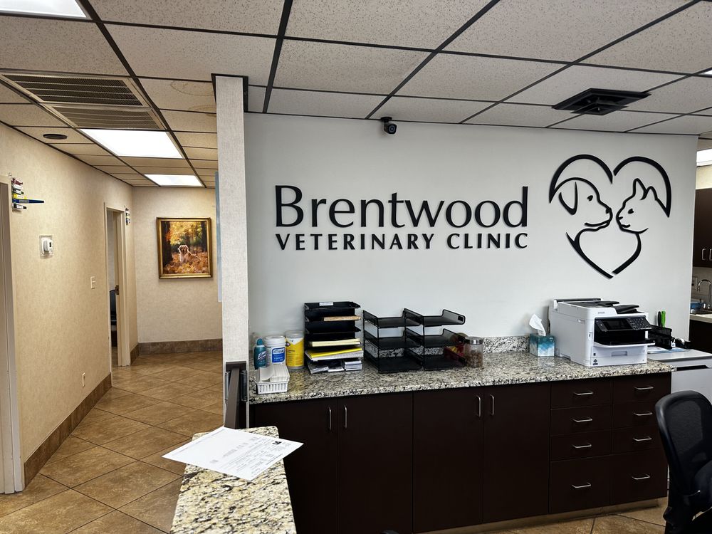 BRENTWOOD VETERINARY CLINIC Updated September 2024 10 Photos & 23