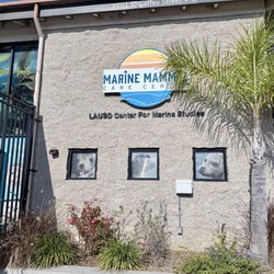 Marine Mammal Care Center - Free admission- donations appreciated. Great learning center.