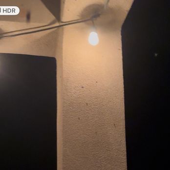 EnviroGuard - All these are LIVE BUGS we got AFTER using EnviroGuard. Never had an infestation like this EVER - Pest Control Near Me - Albuquerque, New Mexico