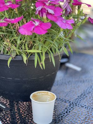 Big Shot Coffee House by null