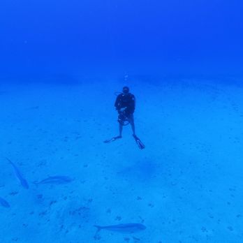 Sierra Diving Center - Ray the owner/operator of Rufus Sport fishing and Diving is teaching his school of fish lol - Diving Near Me - Reno, Nevada