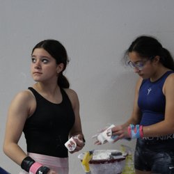 Houston Elite Gymnastics