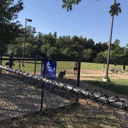 Cattail Park - More dog park.