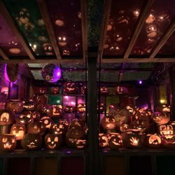 Dalston Eastern Curve Garden - Display from the Garden's annual October pumpkin carving fest.