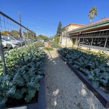 Pietro's - Restaurants garden - Italian Near Me - Lodi, California