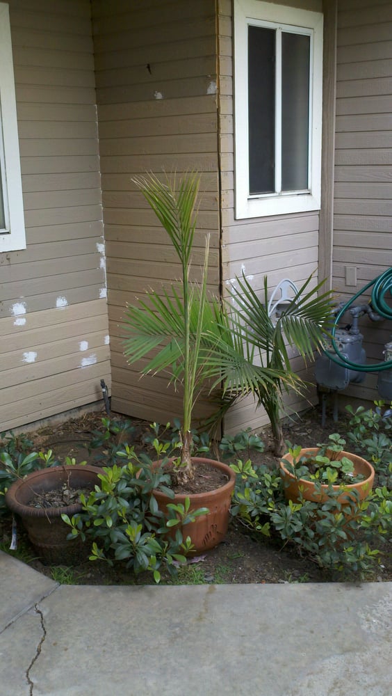 Slide of Sandkamp Roofing