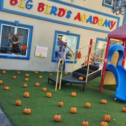 Big Bird's Playhouse