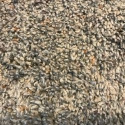 This is what the carpet was suppose to look like.