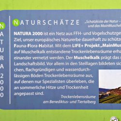 Tiertalberg Retzbach - Wissenswertes (04/2020)
