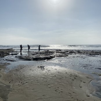 La Jolla Tide Pools - Beaches Near Me - La Jolla, California La Jolla Tide Pools - Beaches Near Me - La Jolla, California