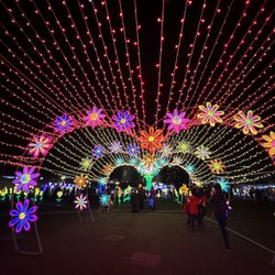 DMV Winter Lantern Festival - 1st sight when you walk in - I used wide lens so don't be deceived at how big it looks! In reality it's about 5x5 ft wide and 7 ft high.