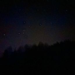Stars! Stars!
