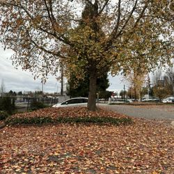 Sumner Train Station - 11/22/25
