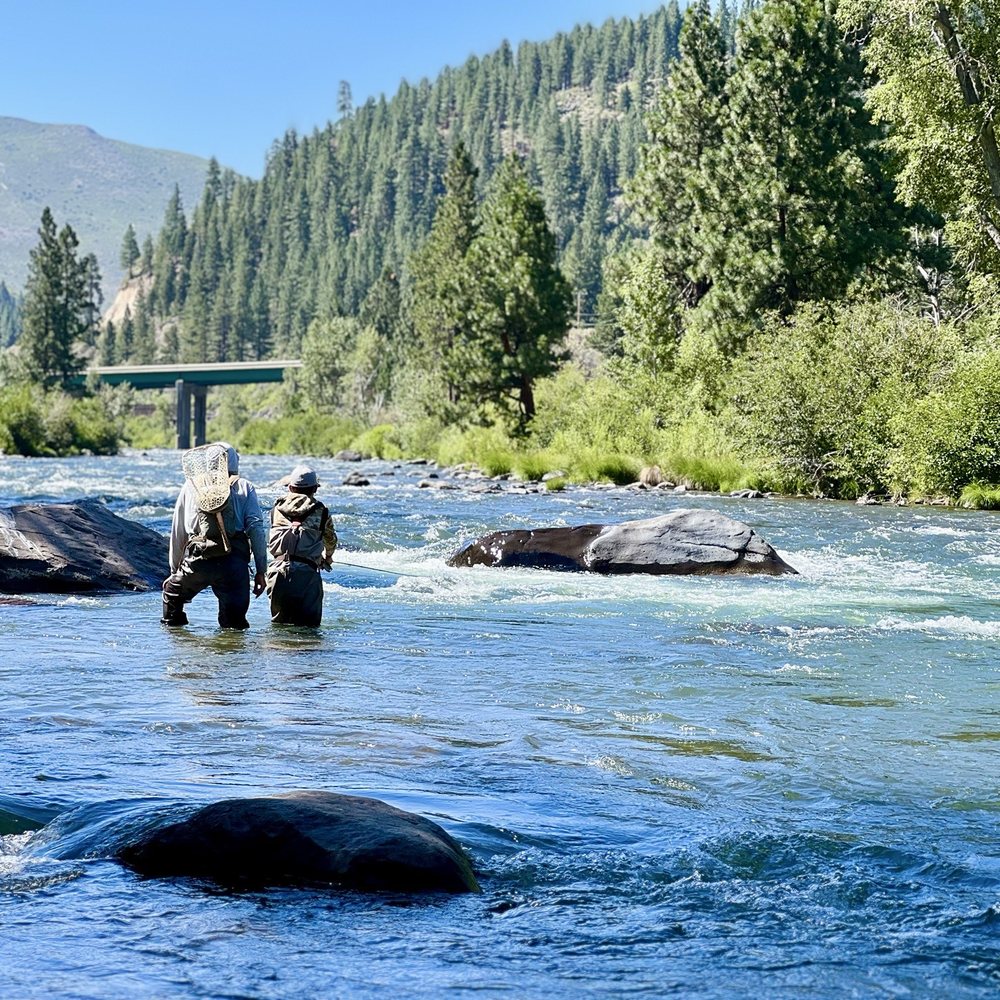 Current Fly Fishing - Dave helping my son understand where fish - Fishing Near Me Current Fly Fishing - Dave helping my son understand where fish - Fishing Near Me