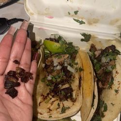 Tortilleria Taqueria Lenchita