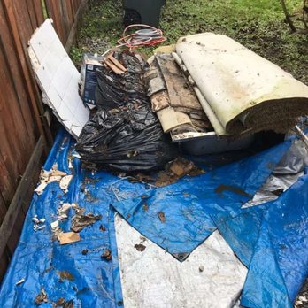 Drop Zone Cleanup - My yard mess - Junk Removal & Hauling Near Me - Winder, Georgia