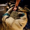 Mela Coffee Roasting gift card