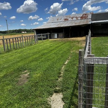 Halls Lawn Care - Mr piggy and goat's palace! - Lawn Services Near Me - Hartly, Delaware Halls Lawn Care - Mr piggy and goat's palace! - Lawn Services Near Me - Hartly, Delaware