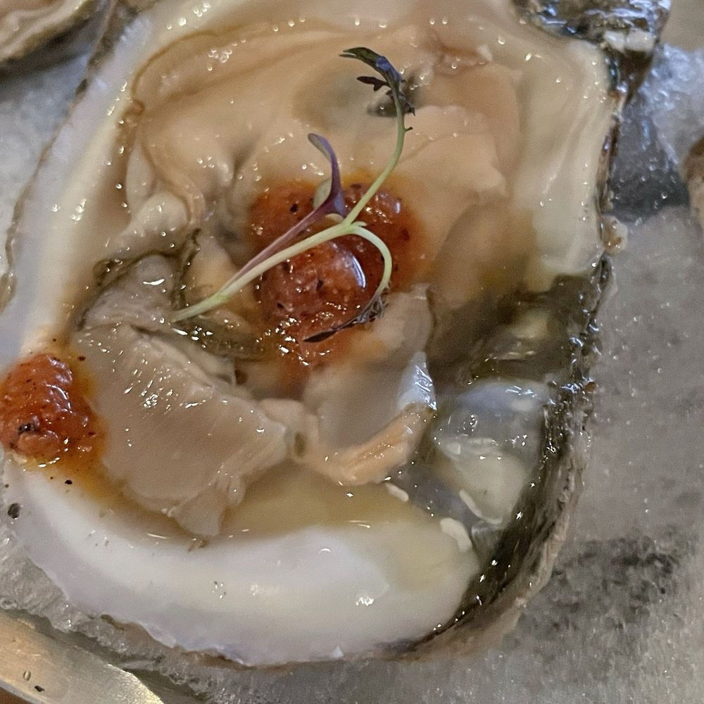 Raw oysters Raw oysters
