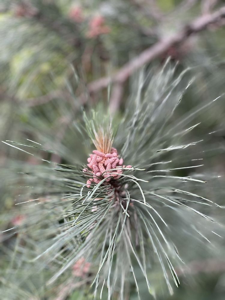 BATTLE CREEK DOG PARK Updated October 2024 14 Photos & 24 Reviews