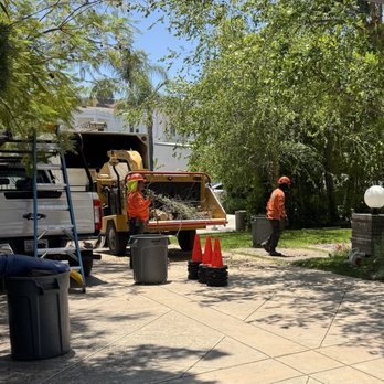 All About Trees - Tree Services Near Me - West Hills, California All About Trees - Tree Services Near Me - West Hills, California