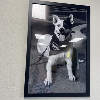 Konala - Company mascot - Fast Food Near Me - Coeur d'Alene, Idaho